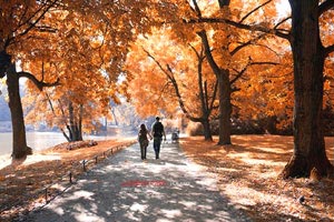 柏林赫塔防线稳固，多次零封对手拿下胜利