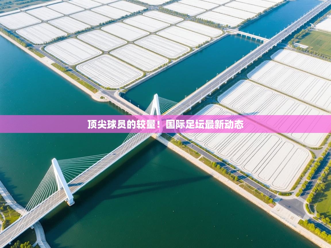 顶尖球员的较量！国际足坛最新动态  第2张