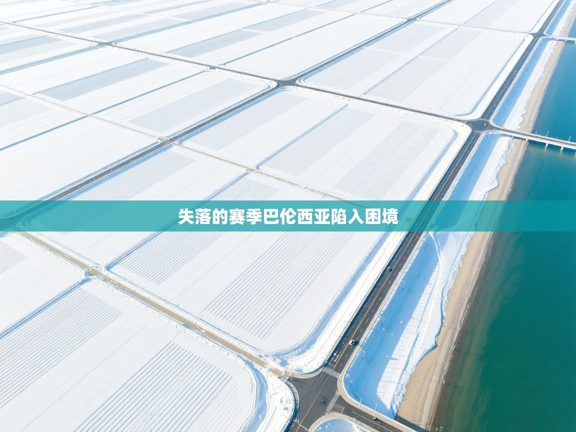 失落的赛季巴伦西亚陷入困境  第2张