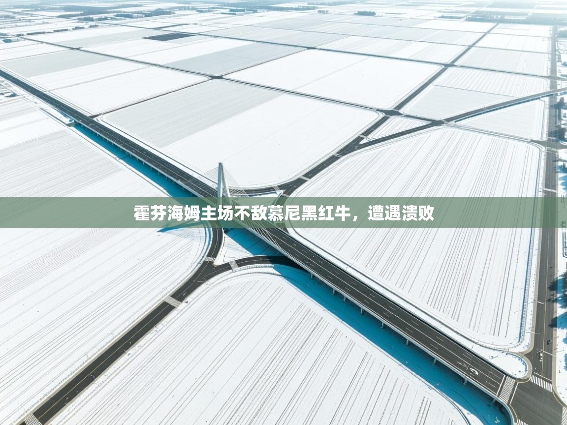 霍芬海姆主场不敌慕尼黑红牛，遭遇溃败  第1张