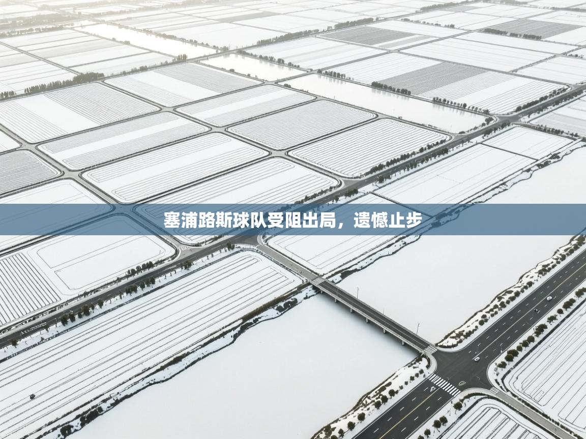 塞浦路斯球队受阻出局，遗憾止步  第2张