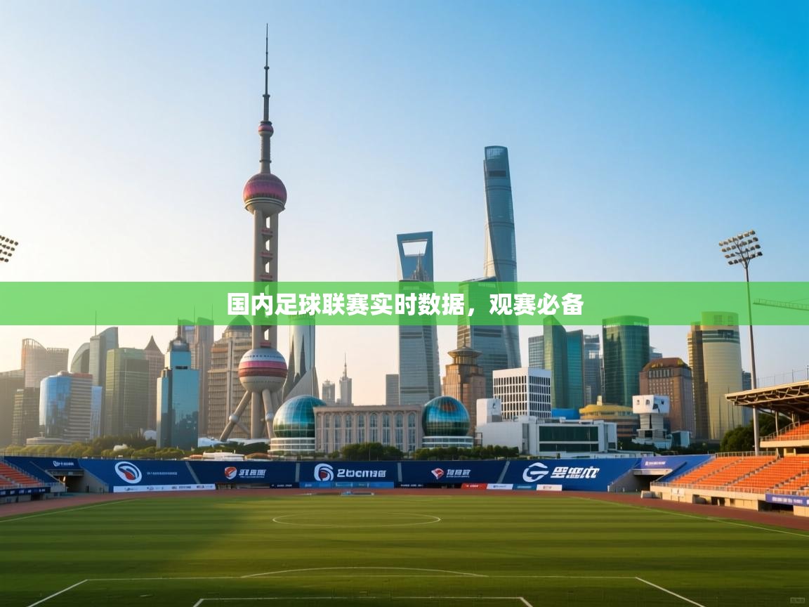 国内足球联赛实时数据，观赛必备